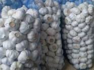 Dry  Garlic  Pure Garlic  Organic Fresh Peeled Garlic