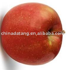 80% up red fresh fuji apple