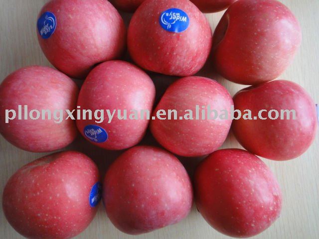 top fresh red fuji apples