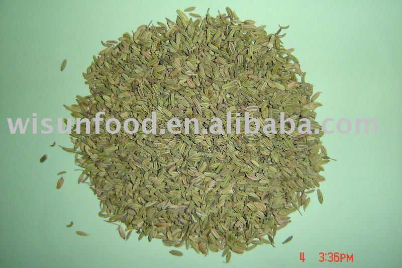 Fennel Seeds