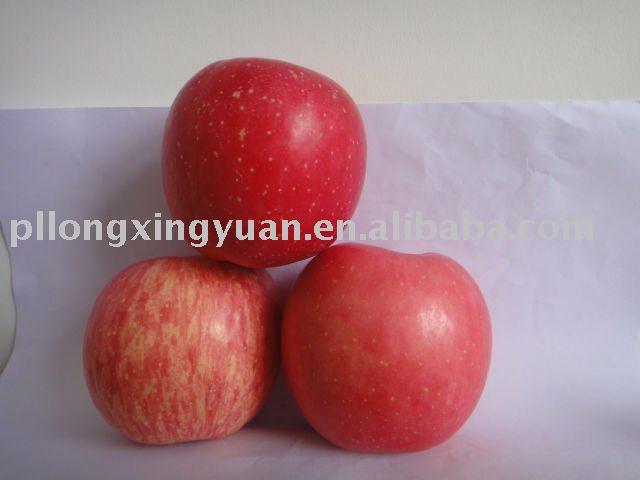 top chinese fuji apples