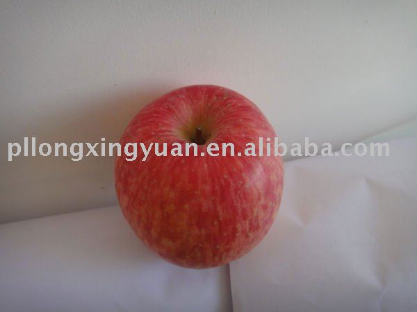 top china fuji apple
