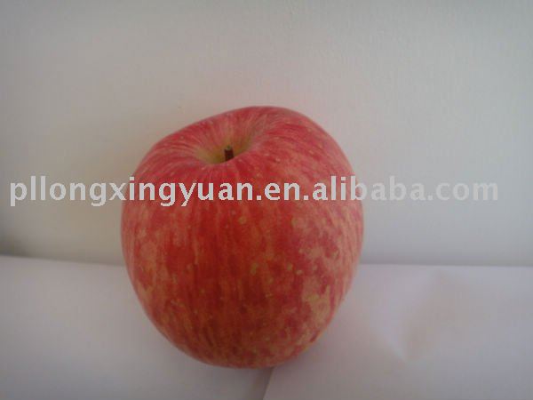 yantai  blush   red   fuji   apple 