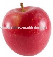 Red Honey Fuji Apple