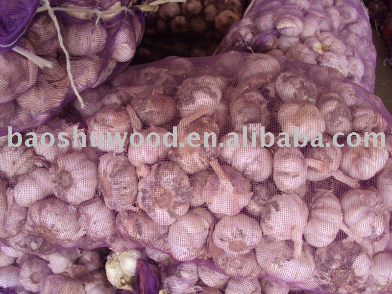 chinese natural raw garlic