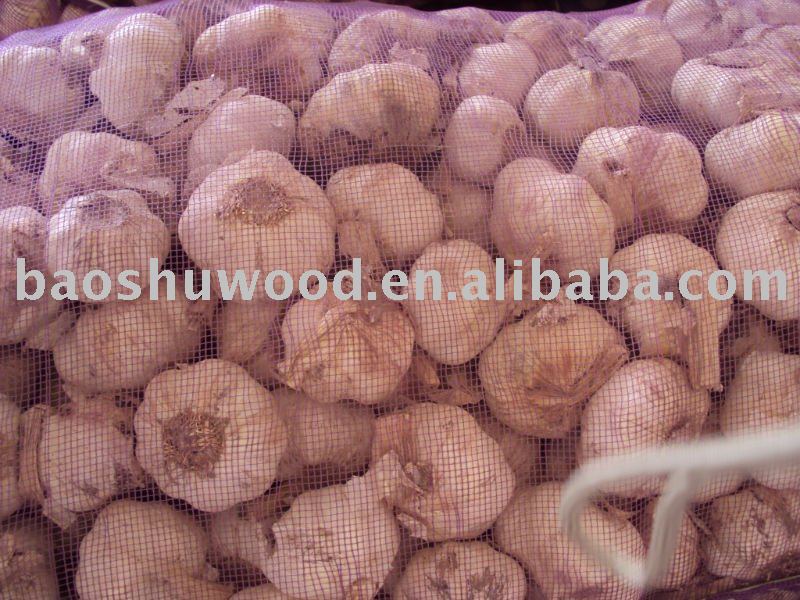 natural garlic