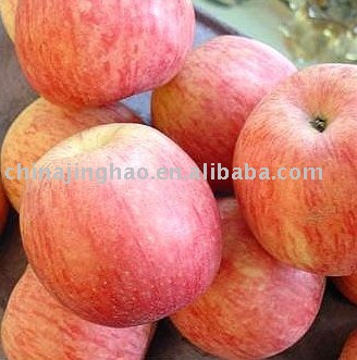China High Quality and Healthy Fruits - Yantai Fresh Red Fuji Apple