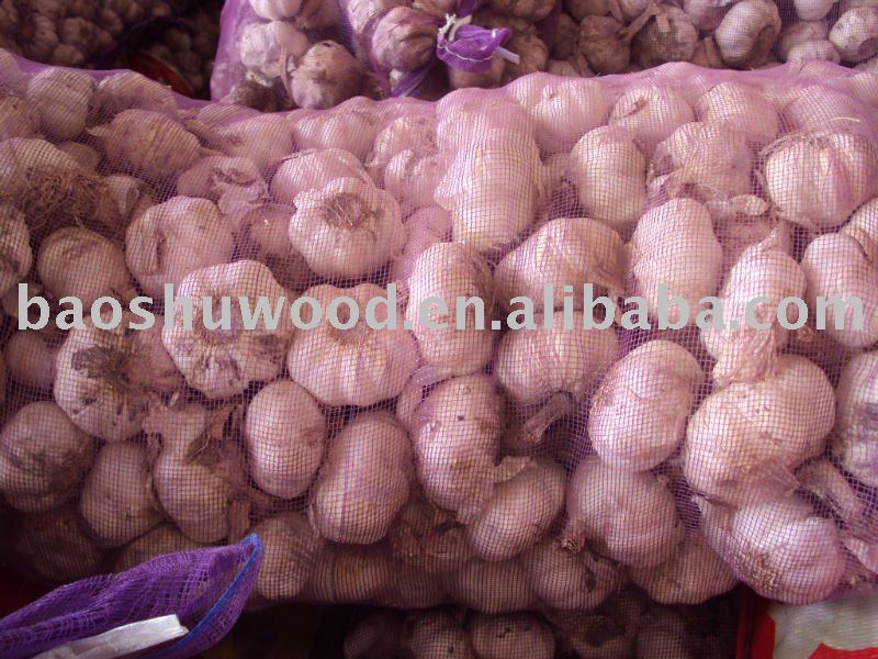 natural raw garlic