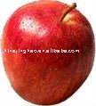 Top Grade Yantai Fuji Apple 20kg/ctn