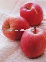 Sweet Red Fuji Apple