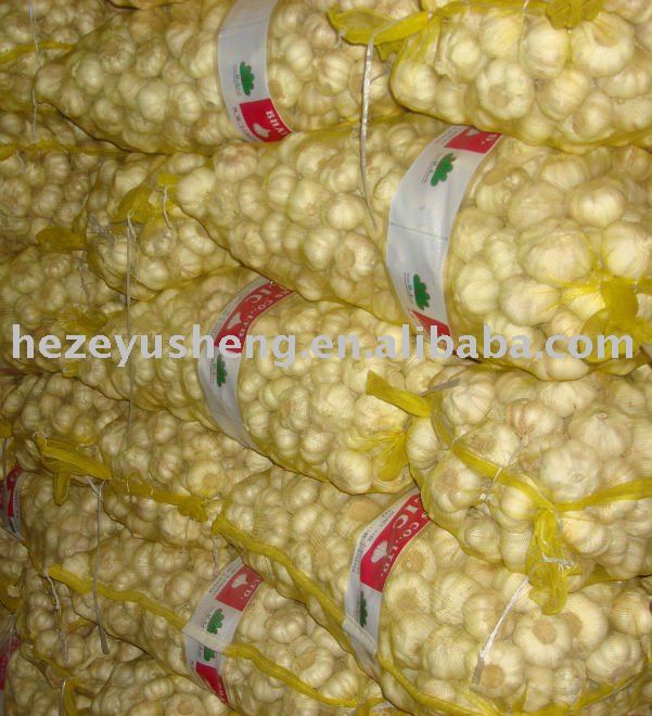 fresh China mesh bag pure white garlic
