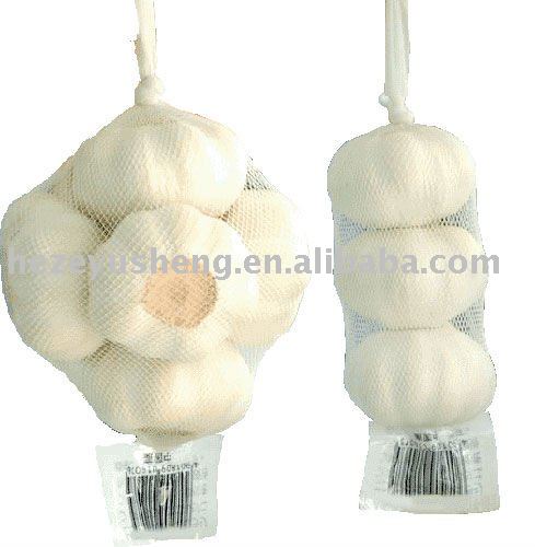 Shandong 3pcs fresh garlic