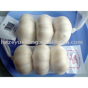  3pc s  garlic 