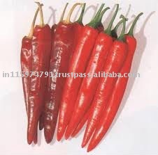Dry hot red chillies