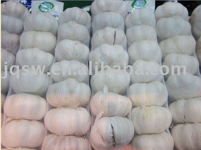 jinxiang garlic,2011 new crop,the fresh garlic price is low with high quality(6.0cm up,pure white)