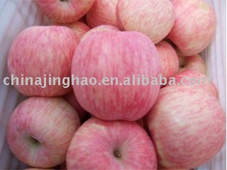 High Quality - 2010 Juicy Crispy Acidic Sweet Fresh Yantai  Red  Fuji Apple for  Sale 