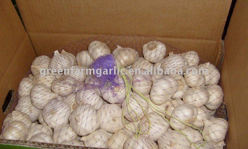 Supply Enough New Fresh Jinxiang  Normal White Garlic