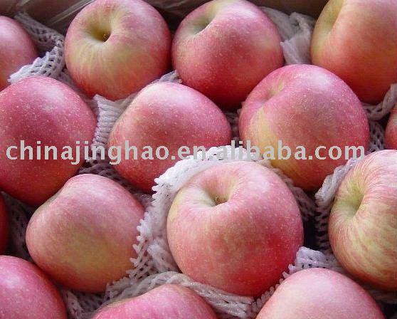 Hot Products - 2010 Juicy Crispy Acidic Sweet Fresh Yantai Red Fuji Apple for Sale