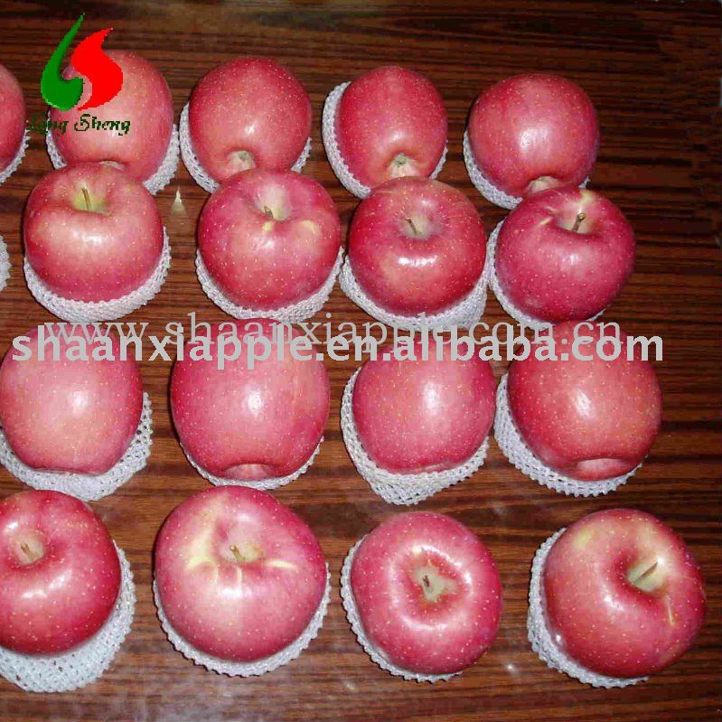 supply  Shaanxi   fuji   apple 