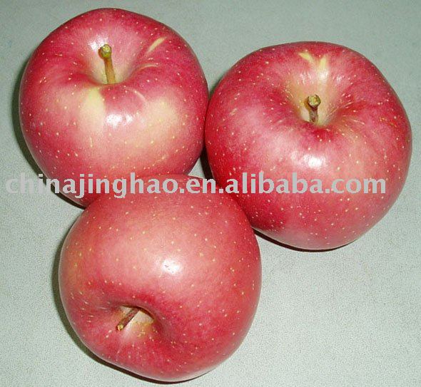 Shandong Fresh 90% UP RED Fuji Apple (75mm)