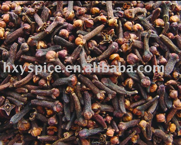 Herbs/Clove