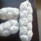 Fresh  Jinxiang   White   Garlic 