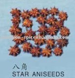 STAR ANISEEDS
