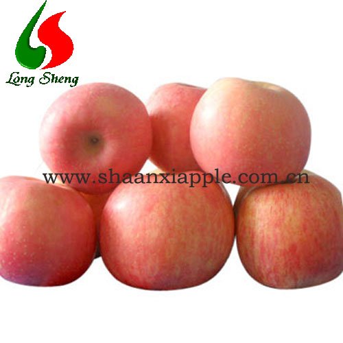 Shaanxi Fuji apple