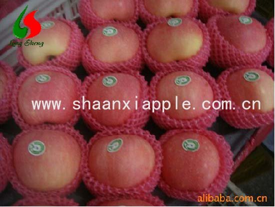 crystal red fuji apple