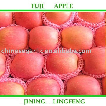 2010Fresh Fuji Apple - 100-125#(20kg/ctn)
