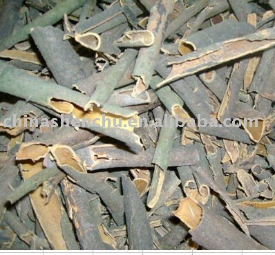 cassia broken
