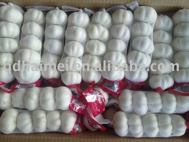 2011 fresh normal garlic in CHINA