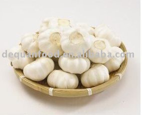 2011 New Crop Pure white garlic