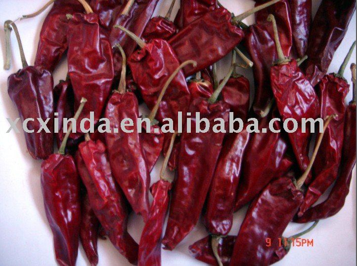 red  chilli , Yidu   chilli 