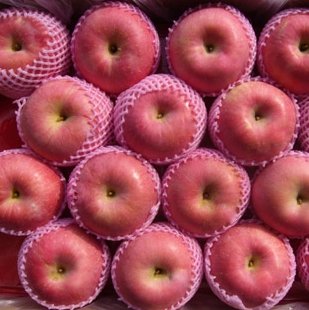 delicious red fuji apple 70mm