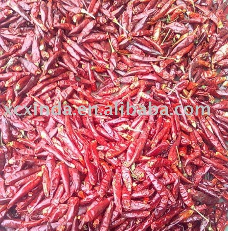 dry red chili