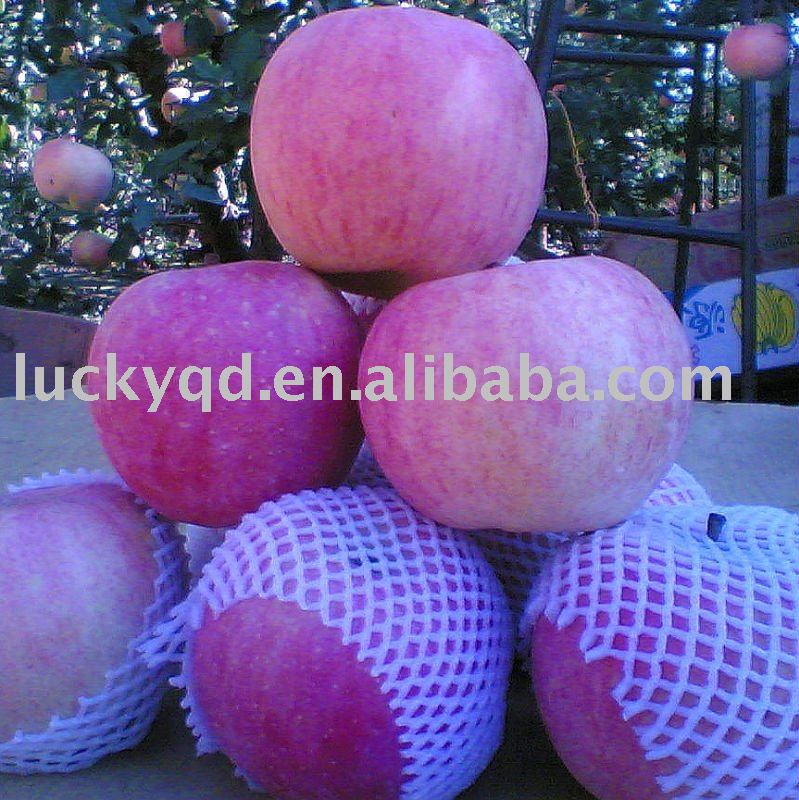 fresh yantai apple 150 size
