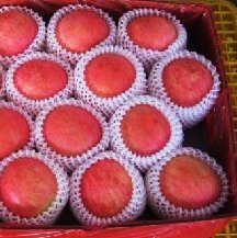 delicious red fuji apple 75mm