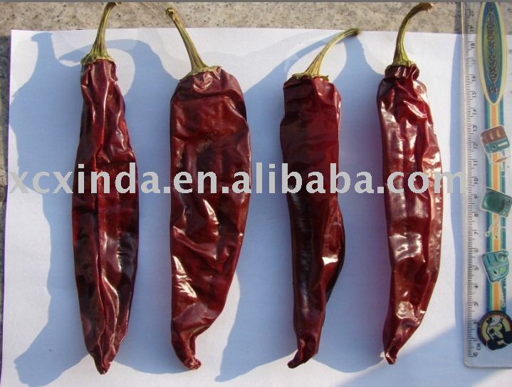 sweet pepper ,sweet paprika,chilli products