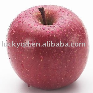 fresh yantai apple 100 size