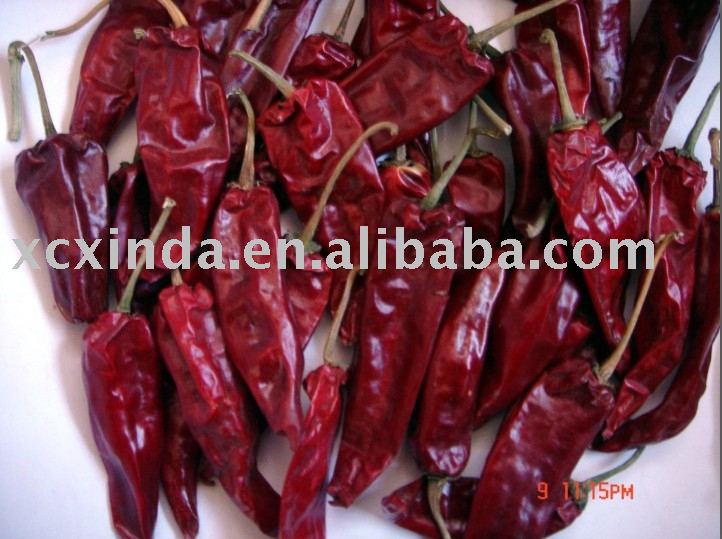 yidu chili, dried chili,pepper,chilli products