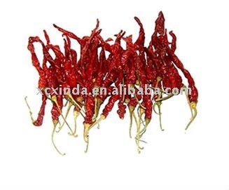 wrinkle chilli