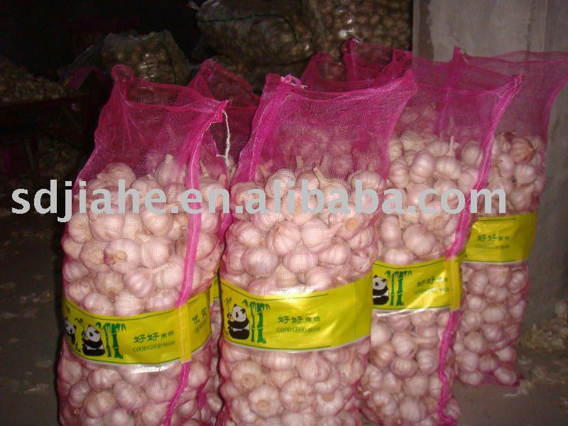 resh garlic,white garlic,normal garlic,Chinese garlic