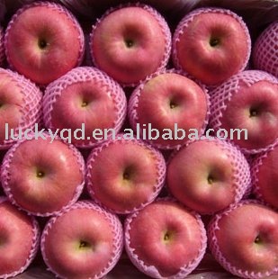 fresh chinese red fuji apple 65mm