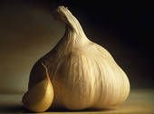  Garlic  Tight  Pure  White  Skin   Garlic  Normal White  Garlic  Middle East Exports Quality  Garlic 