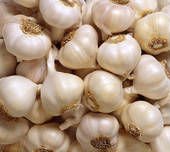 Garlic Clove Big Garlic Clove Bulk Garlic Producer Satikuwar Garlic Fresh White Garlic