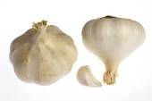 Cold Storage Garlic Fresh White Garlic Indian Garlic Export Quality Garlic Organic Garlic Common Yie