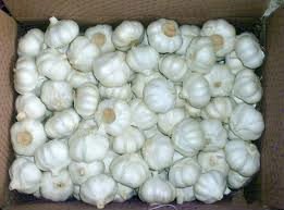 Dry  Garlic  Pure Garlic Organic Fresh Peeled Garlic Indian Premium Garlic Pure Garlic Garlic Huge P