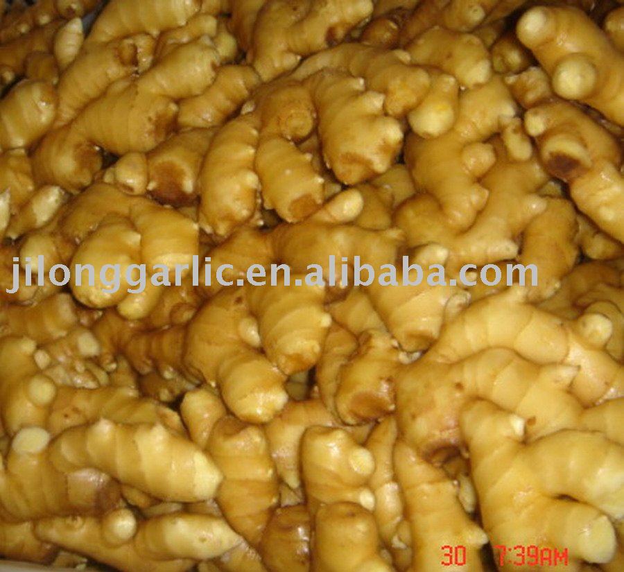  jinxiang  fresh  ginger 