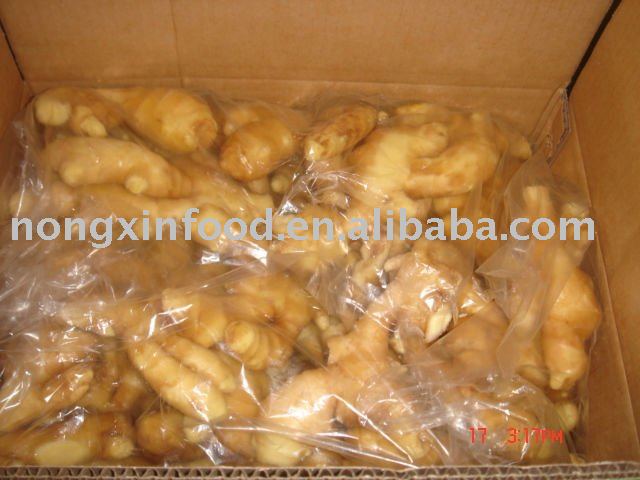 2010 CROP CHINESE  FRESH   OLD    GINGER 